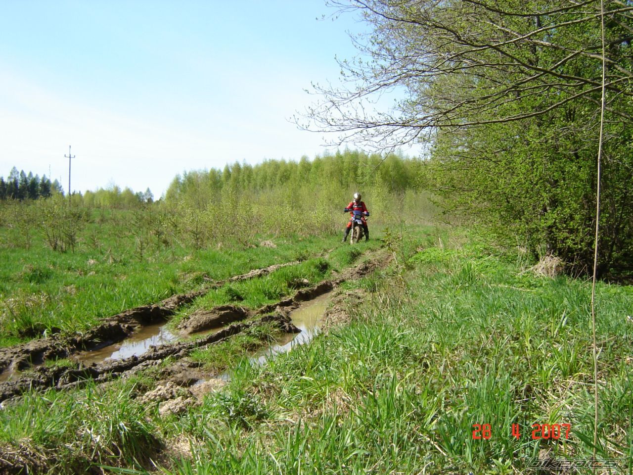 Photo 880119
