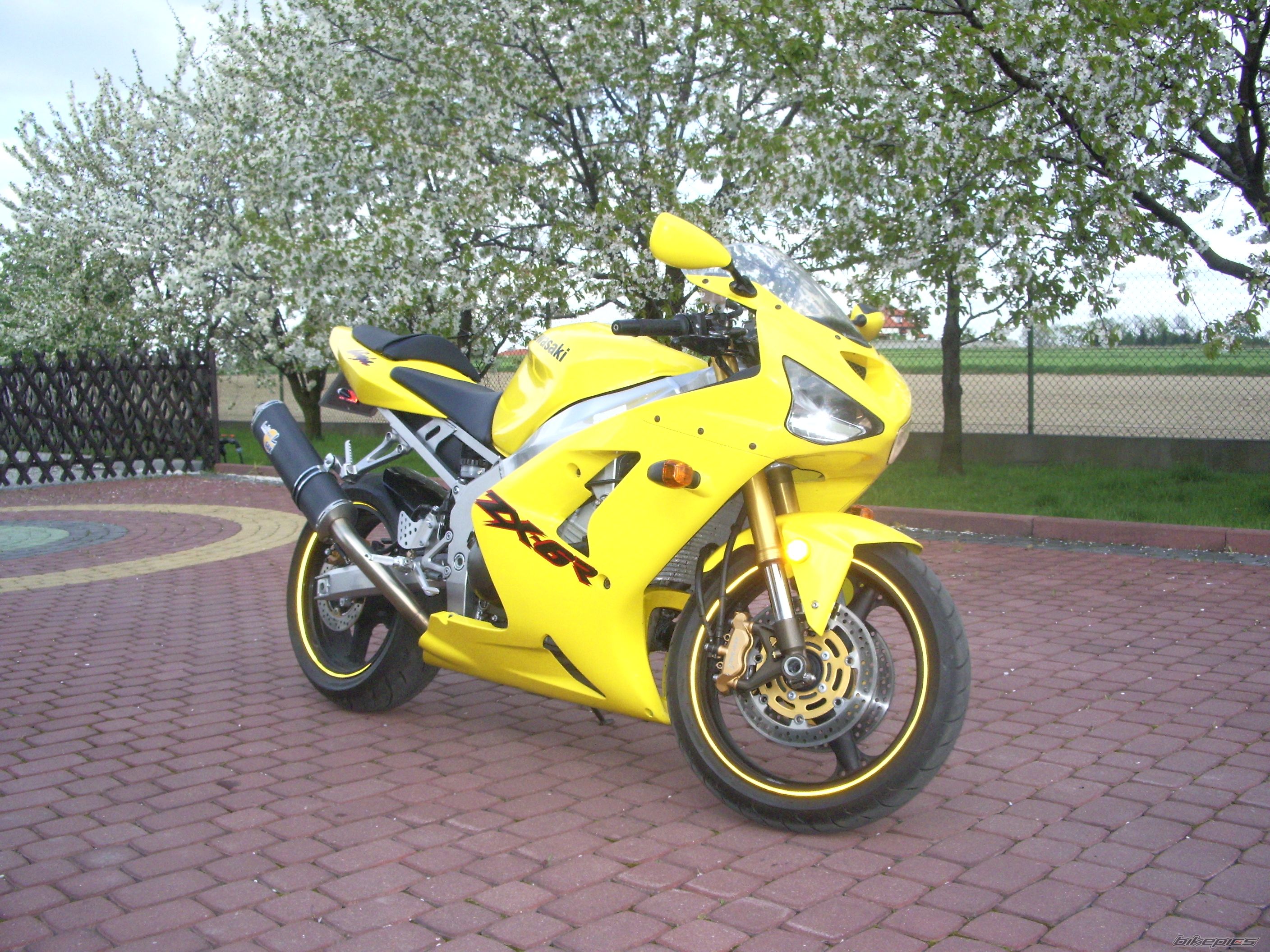 Bike Photo 880274