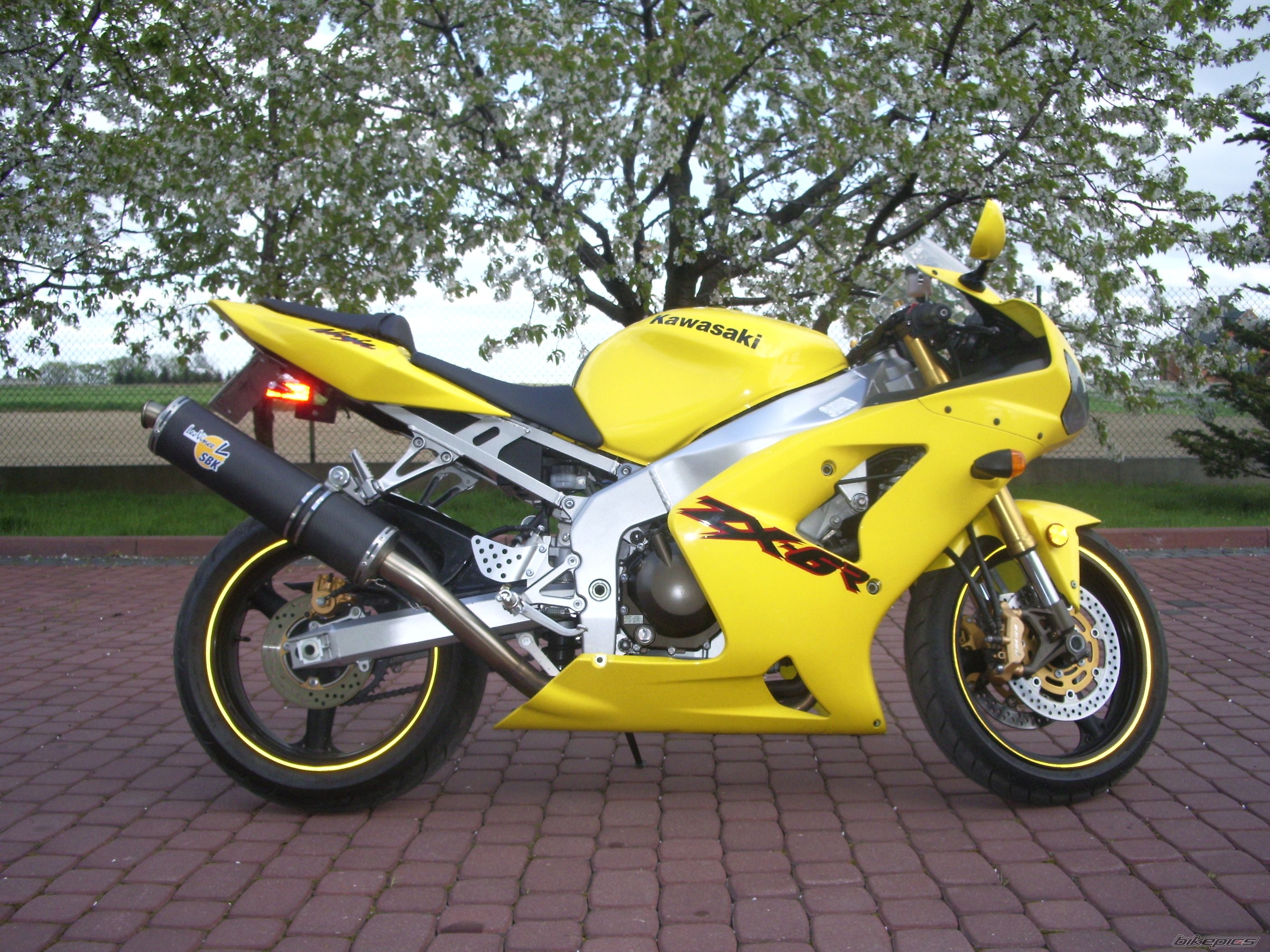 Bike Photo 880276