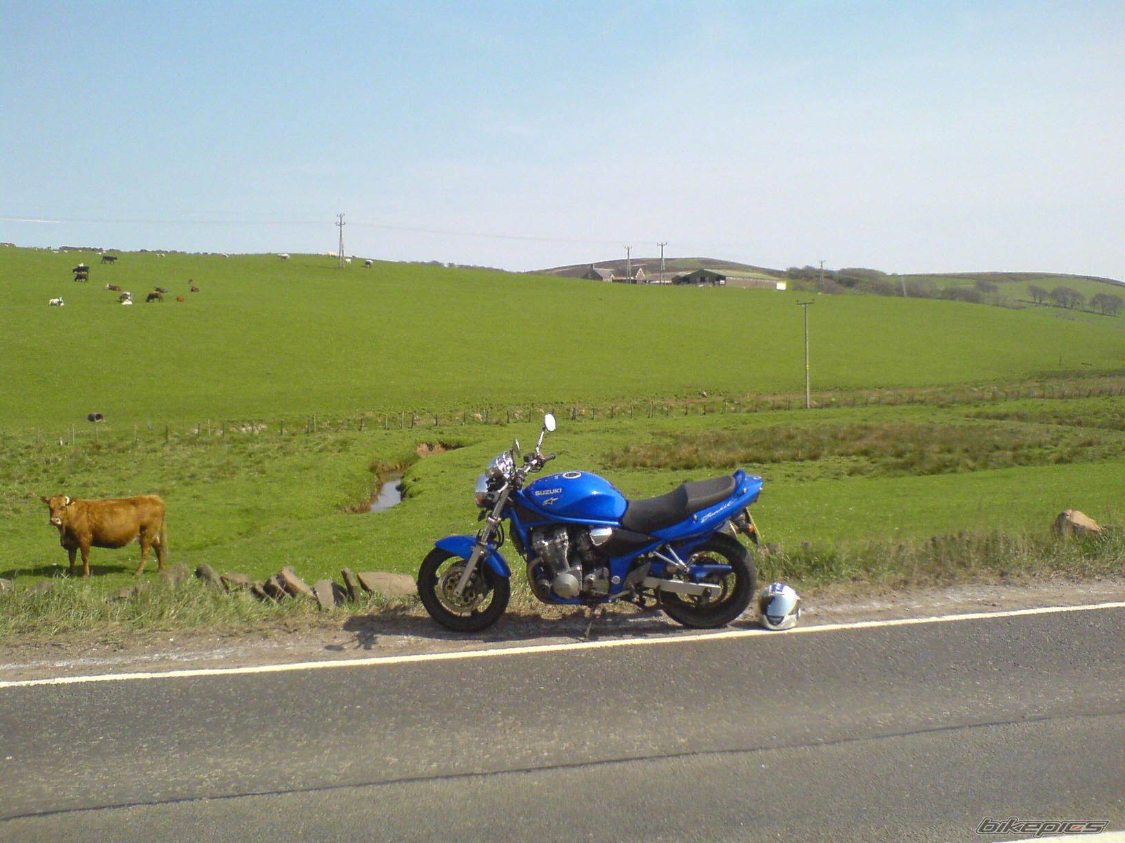 Photo 880324