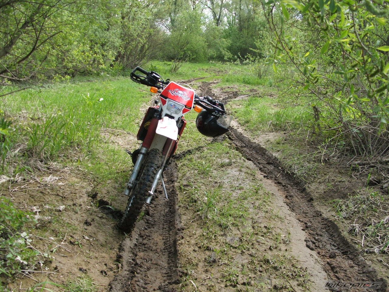 Bike Photo 880384