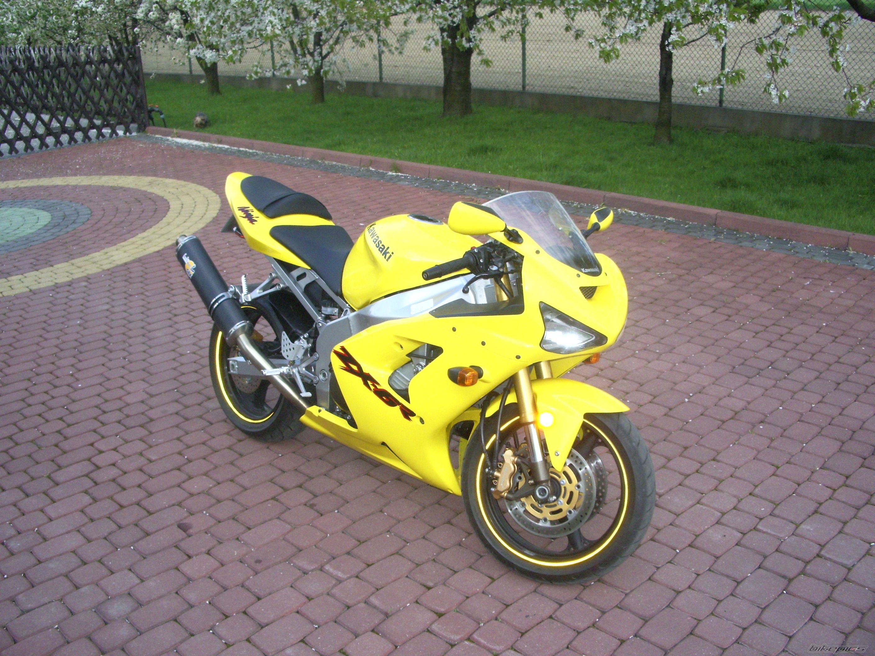 Bike Photo 880396