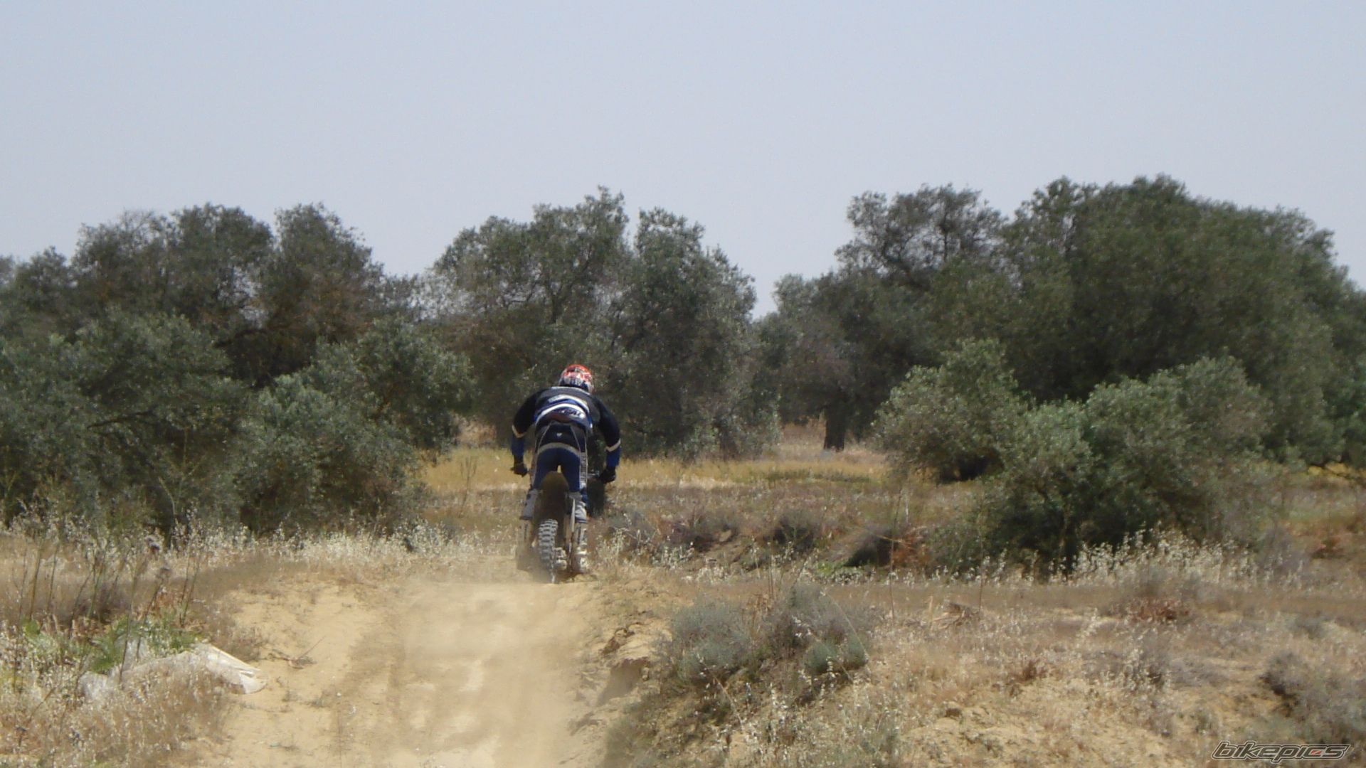 Bike Photo 880716
