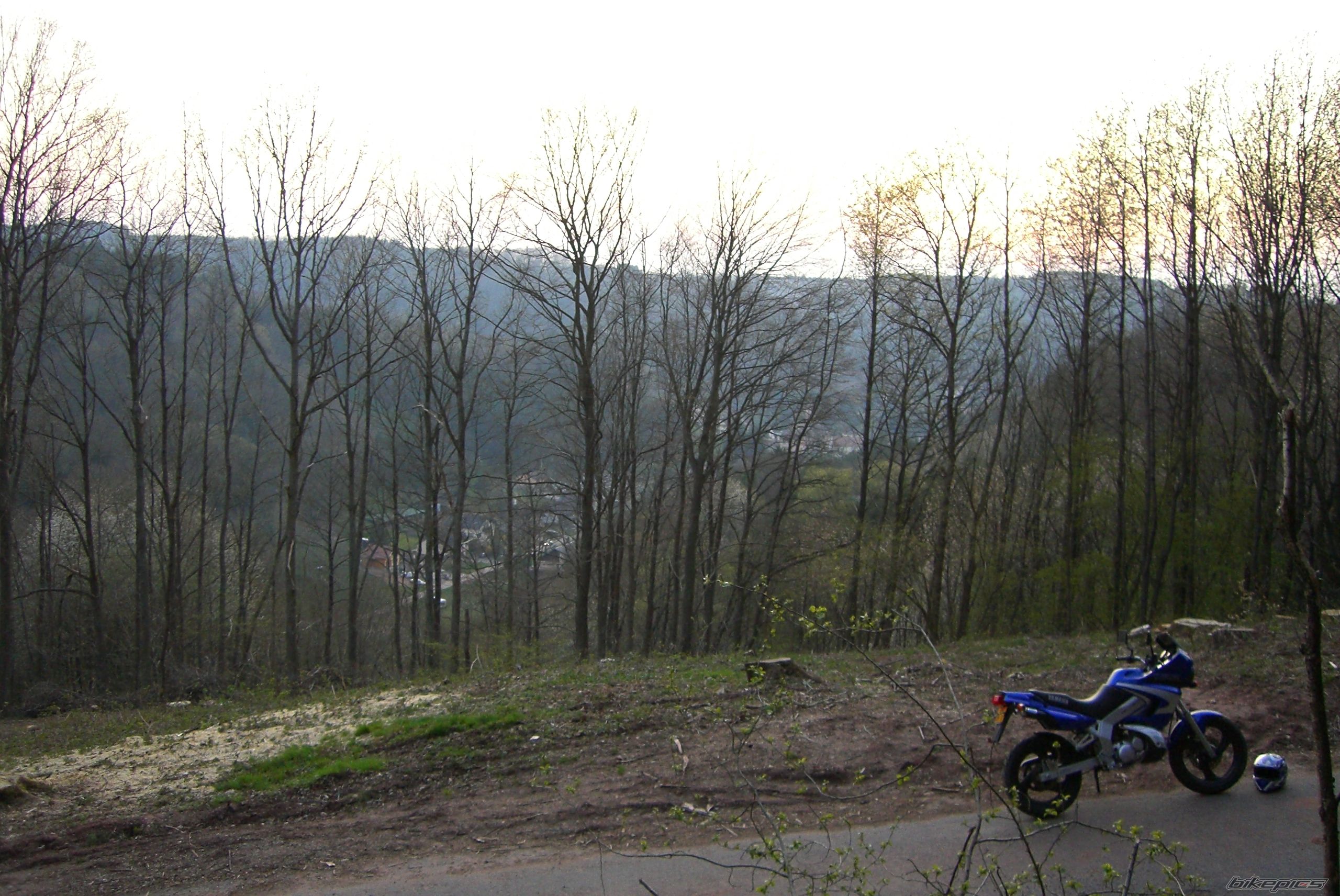 Photo 880882