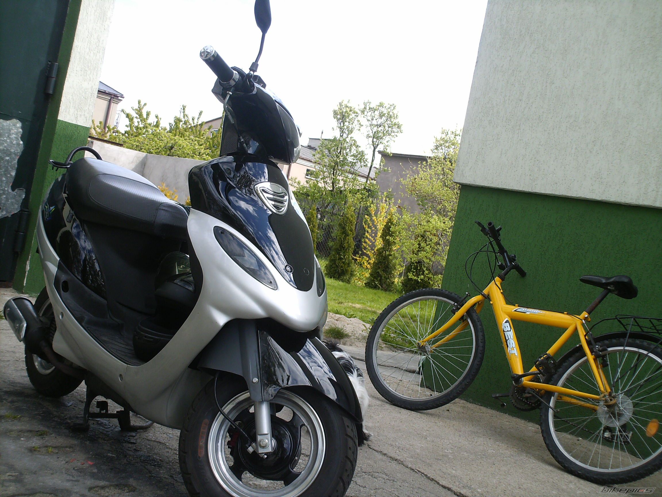 Photo 881265