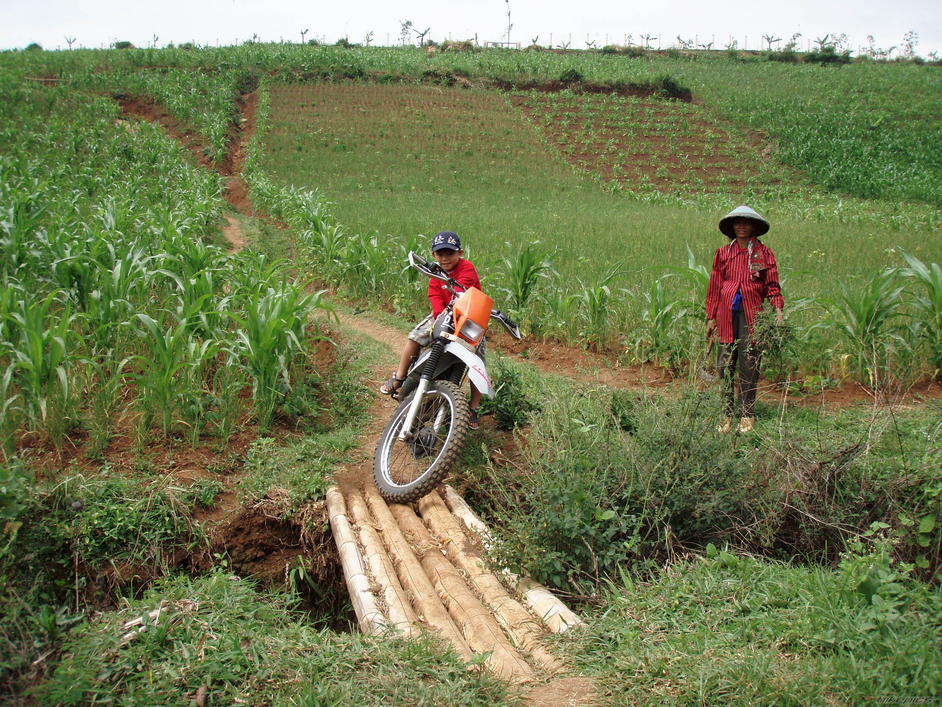 Bike Photo 881414
