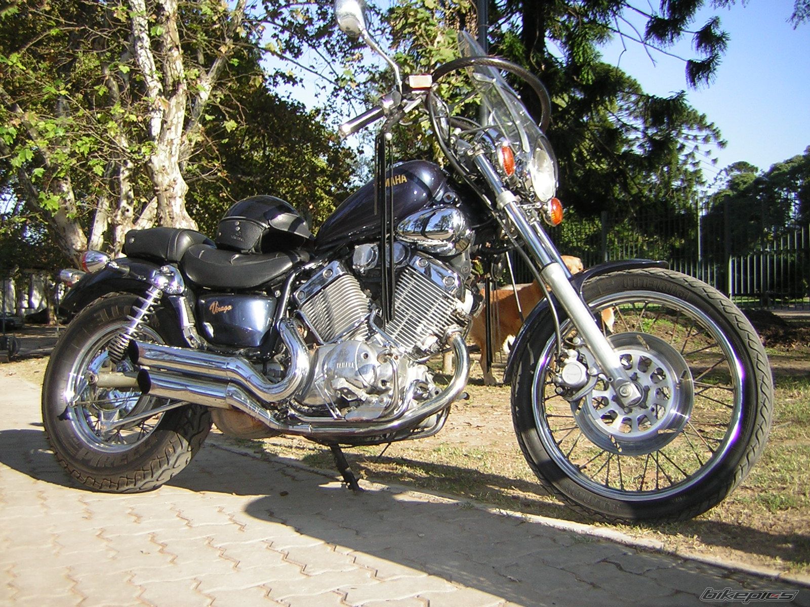 Bike Photo 881453