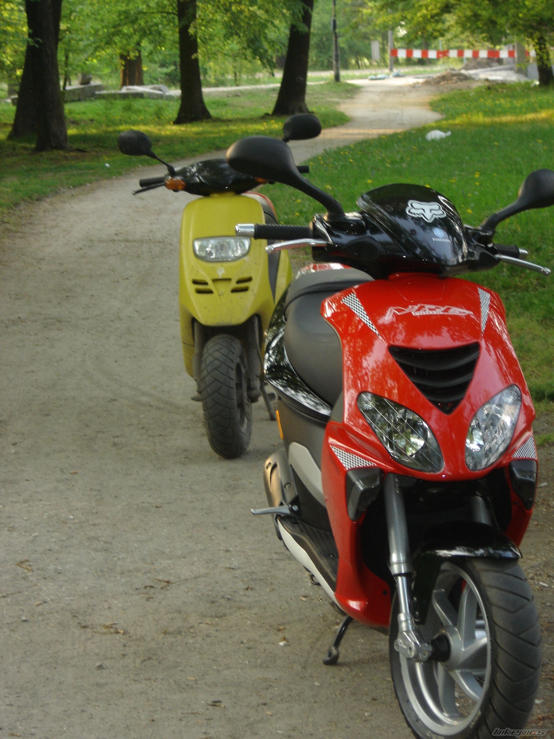 Photo 881482