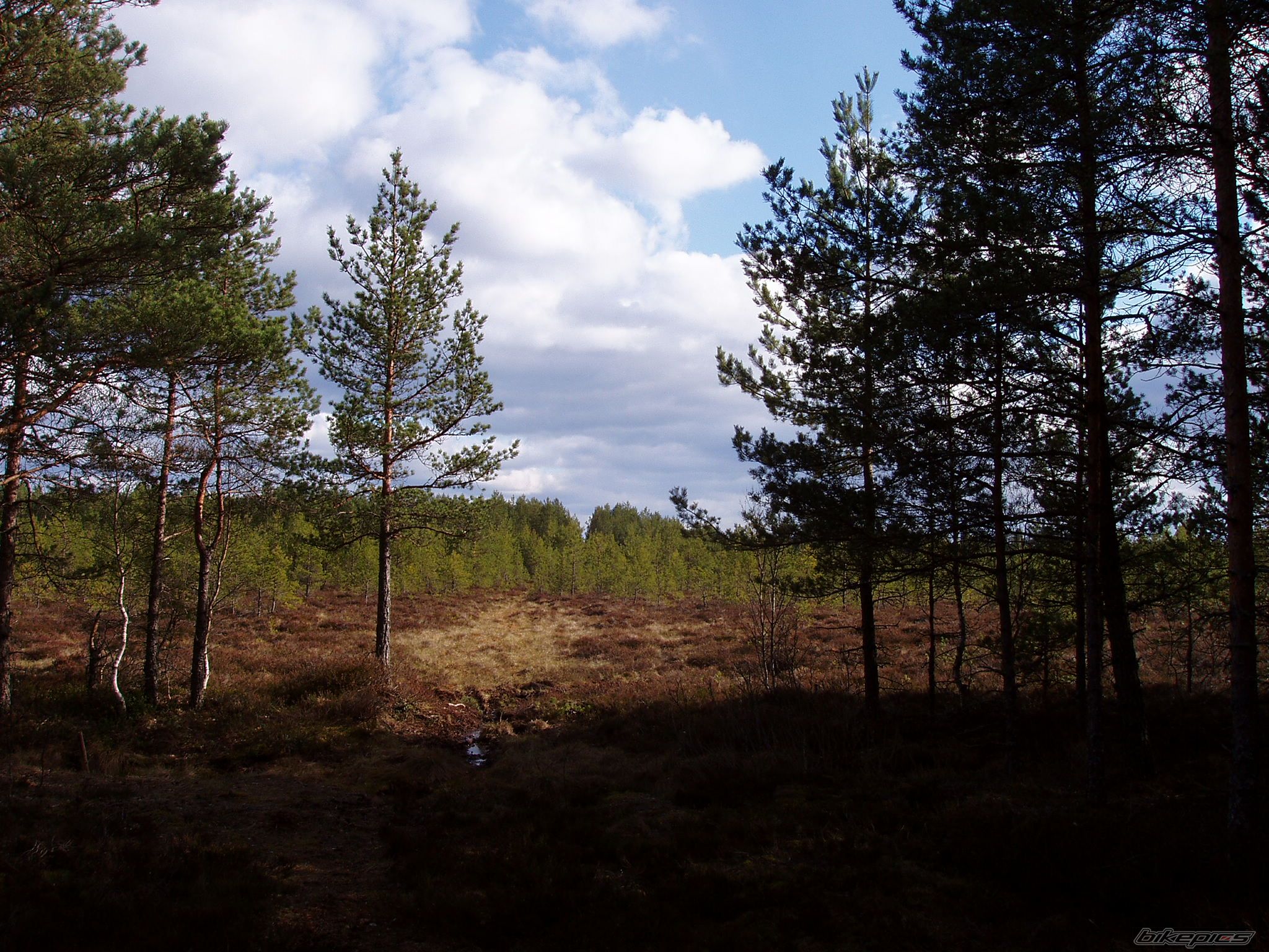 Photo 881931
