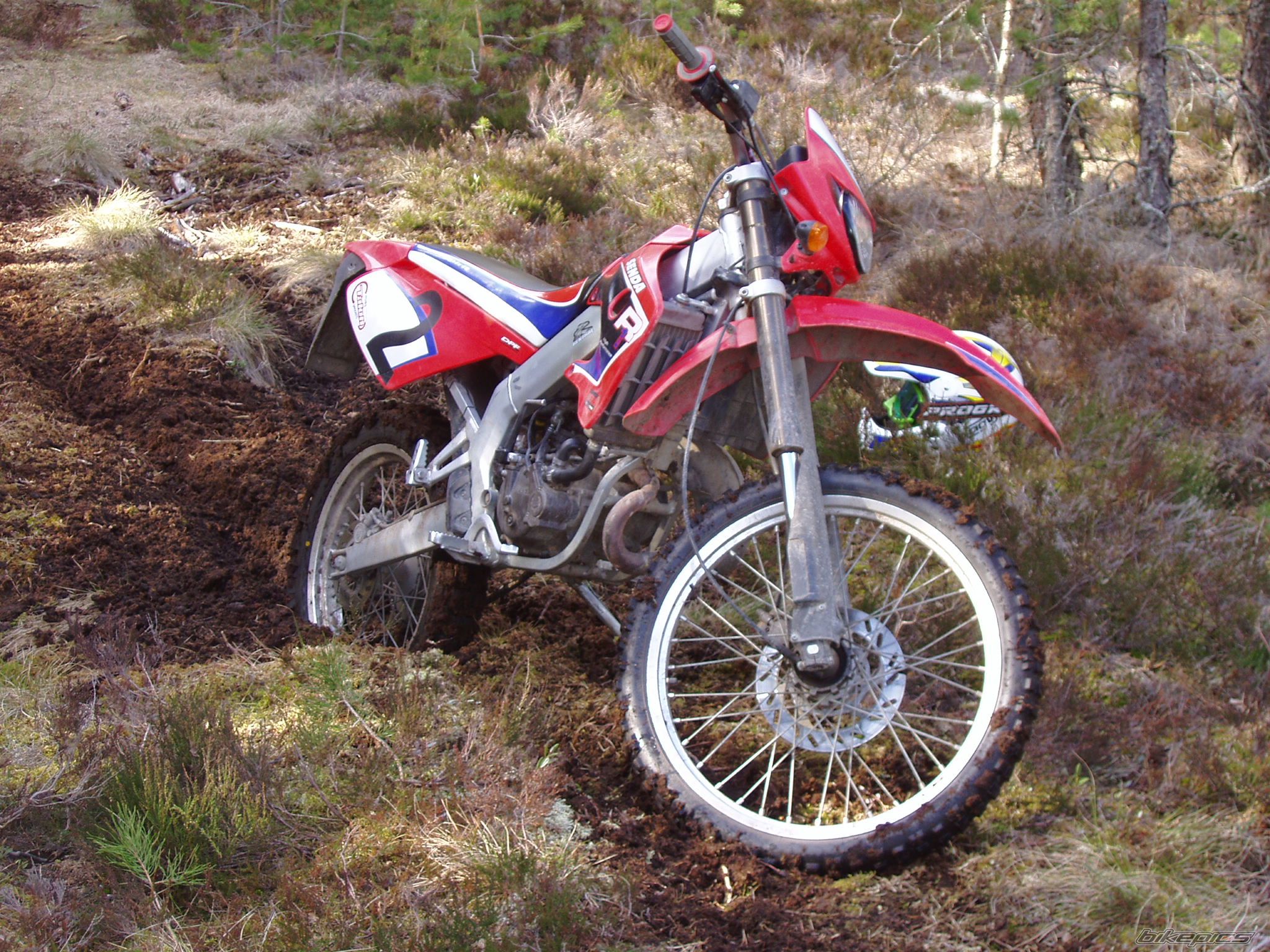 Photo 881932