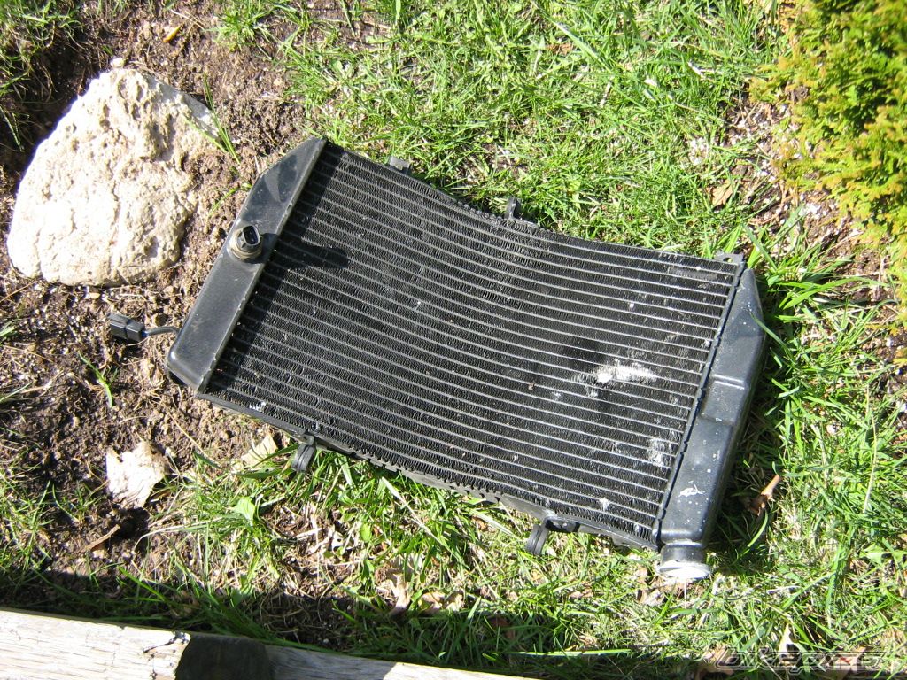 Photo 882061