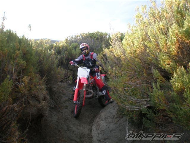 Photo 882066