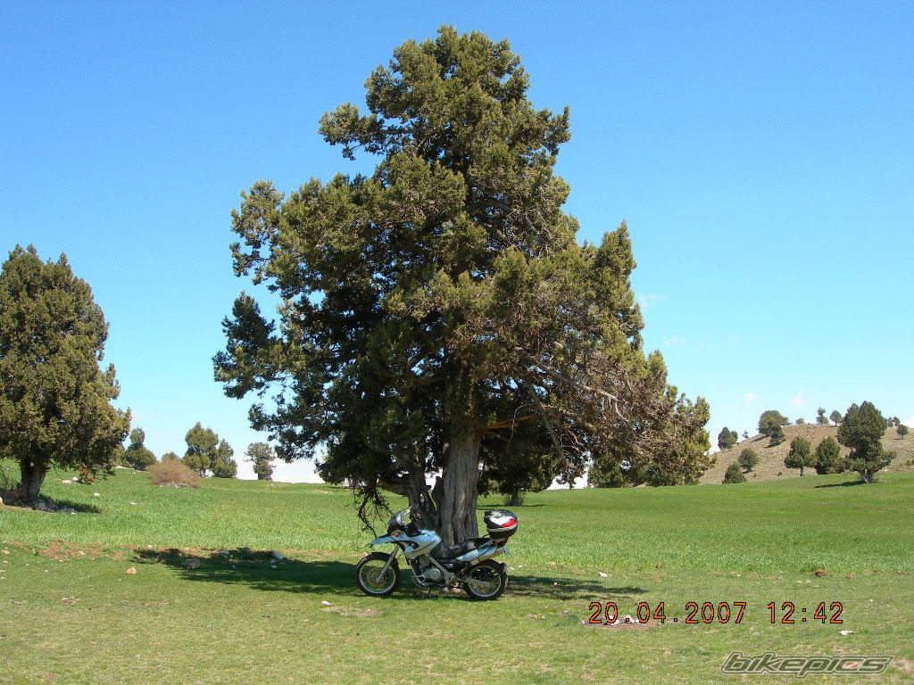 Bike Photo 882280