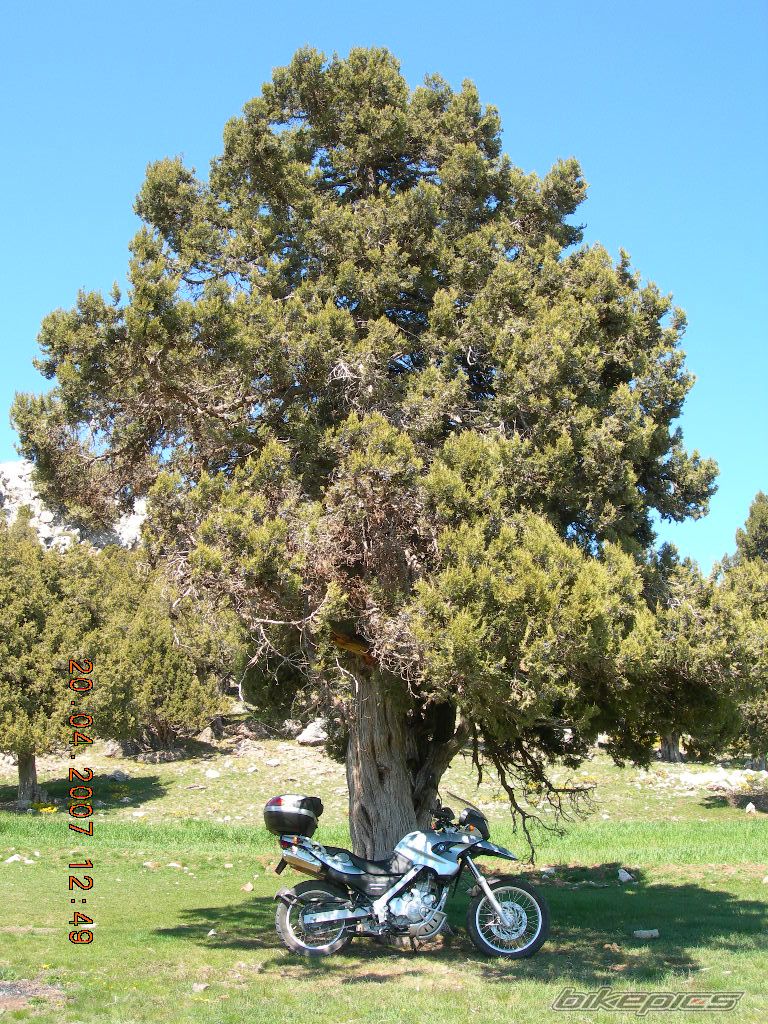 Bike Photo 882284