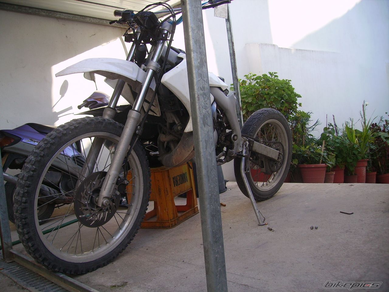 Photo 882712