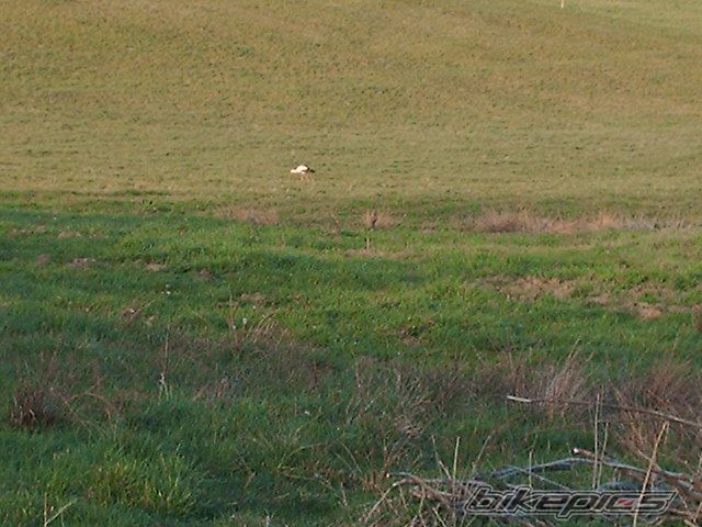 Photo 882768