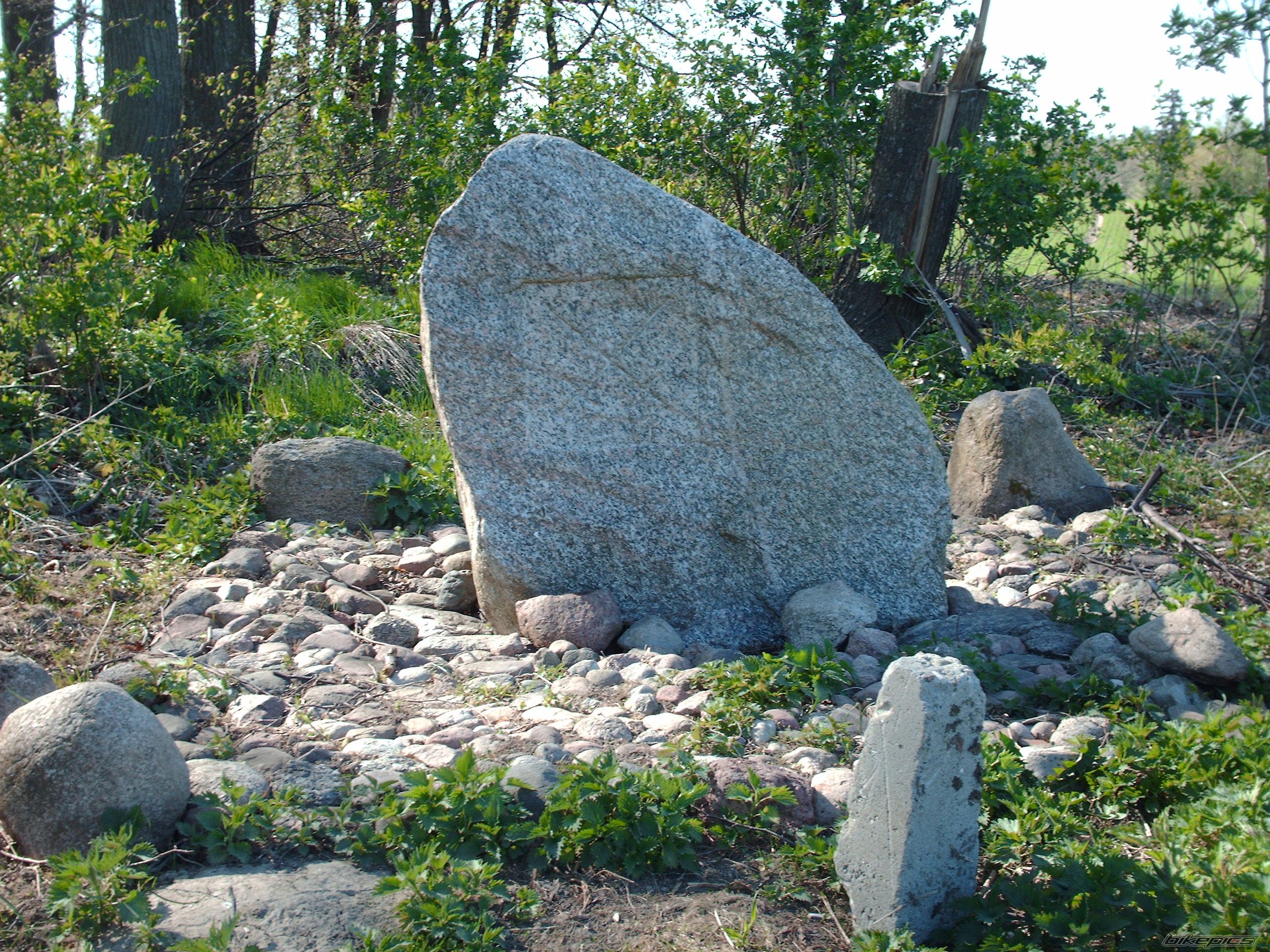 Photo 882774