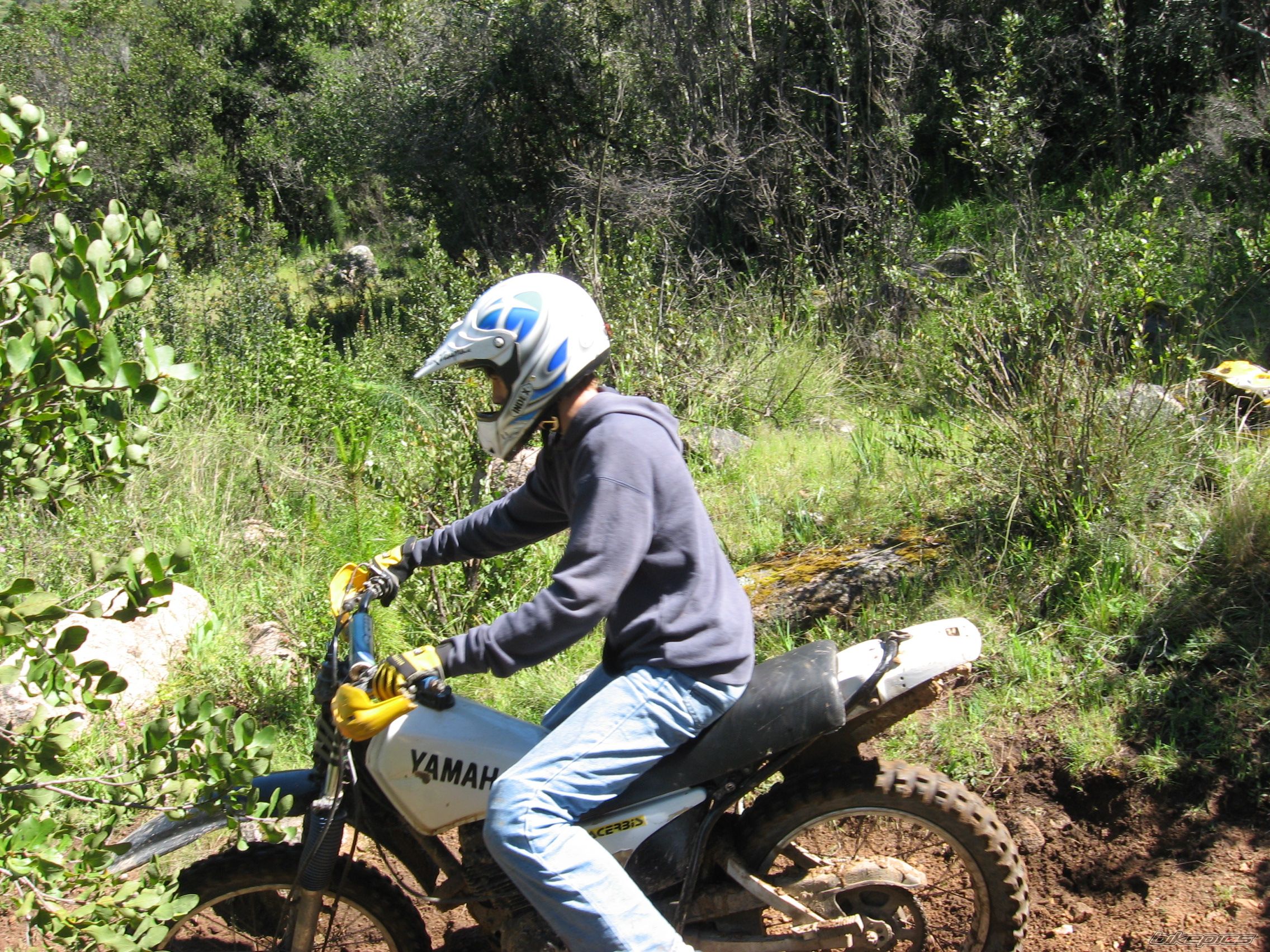 Photo 883259