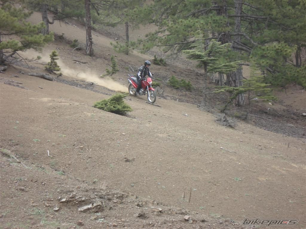 Photo 883322
