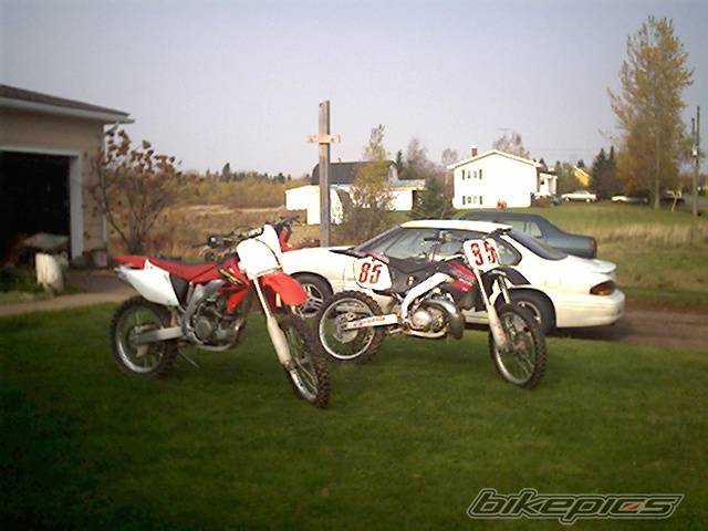 Photo 88341