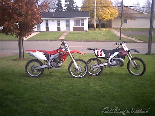 Photo 88342