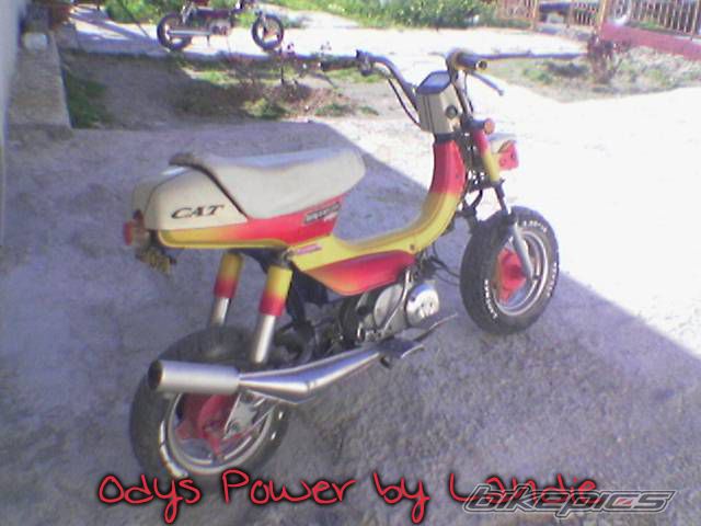Photo 884071