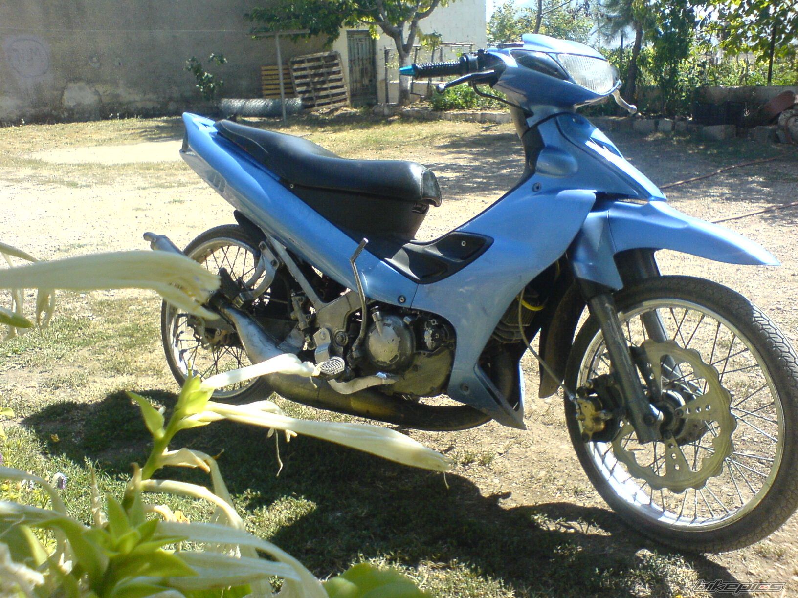 Photo 884153