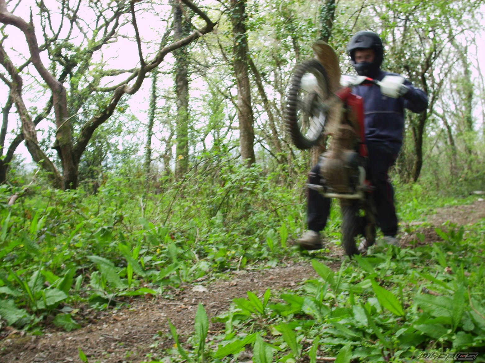 Bike Photo 884424