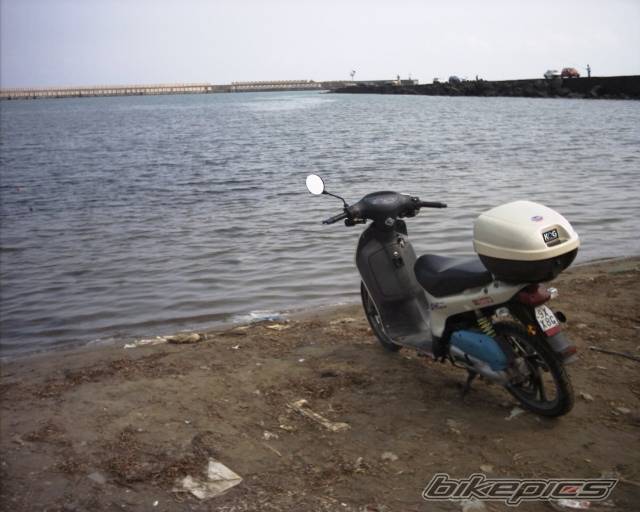 Photo 88452