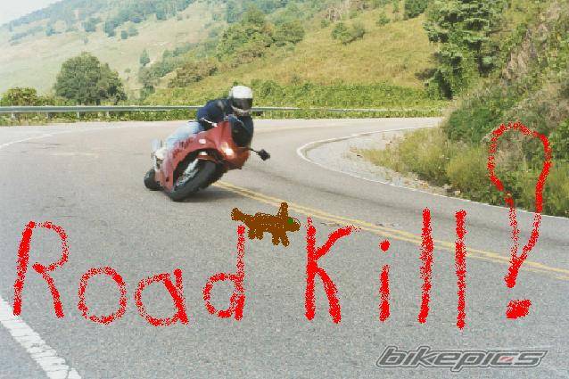 Bike Photo 8854