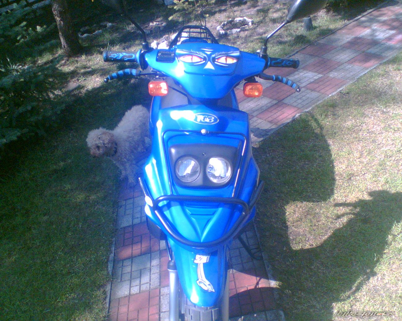 Photo 886142