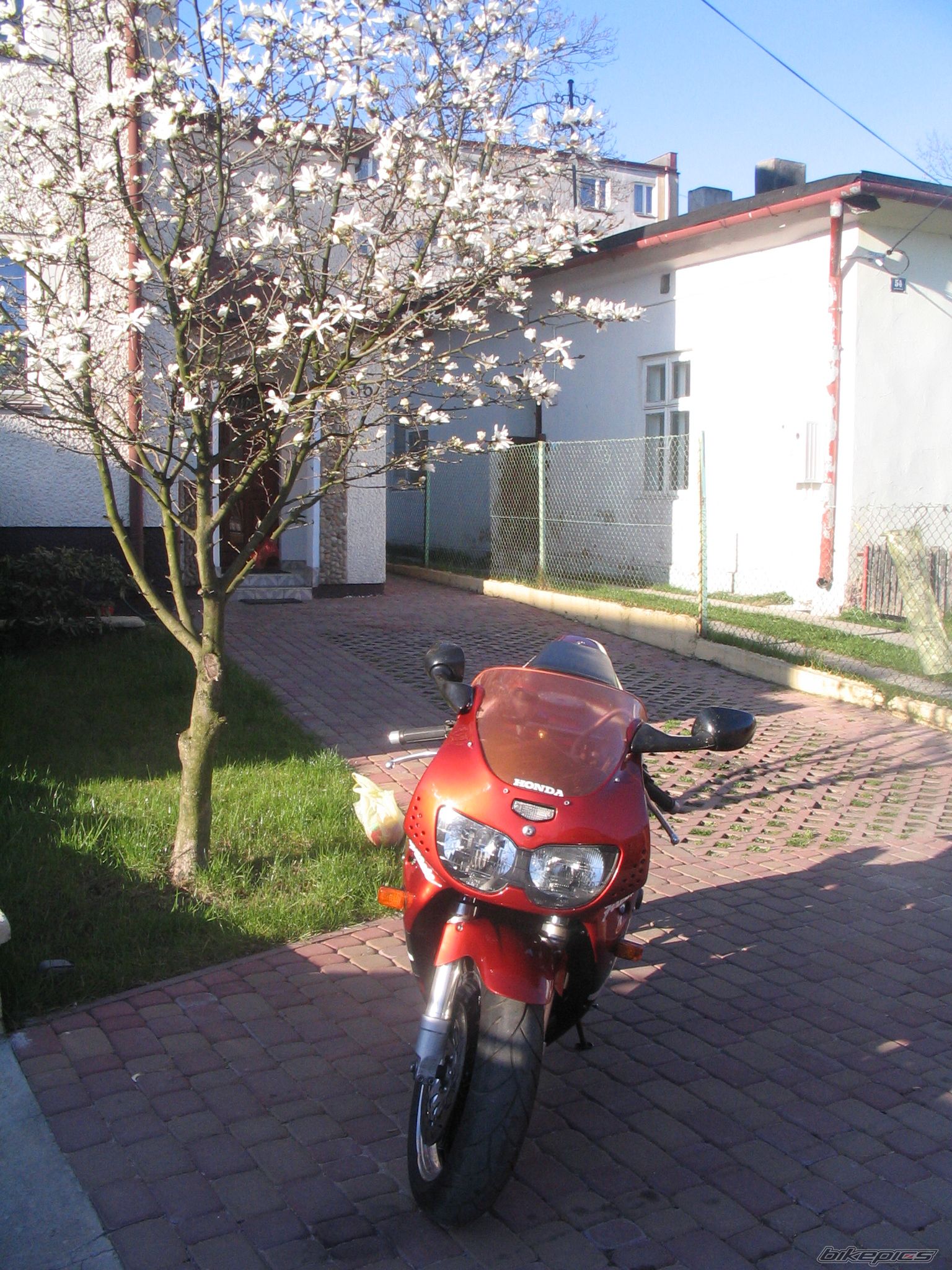 Photo 886397