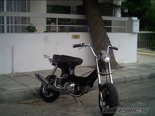 Photo 88641