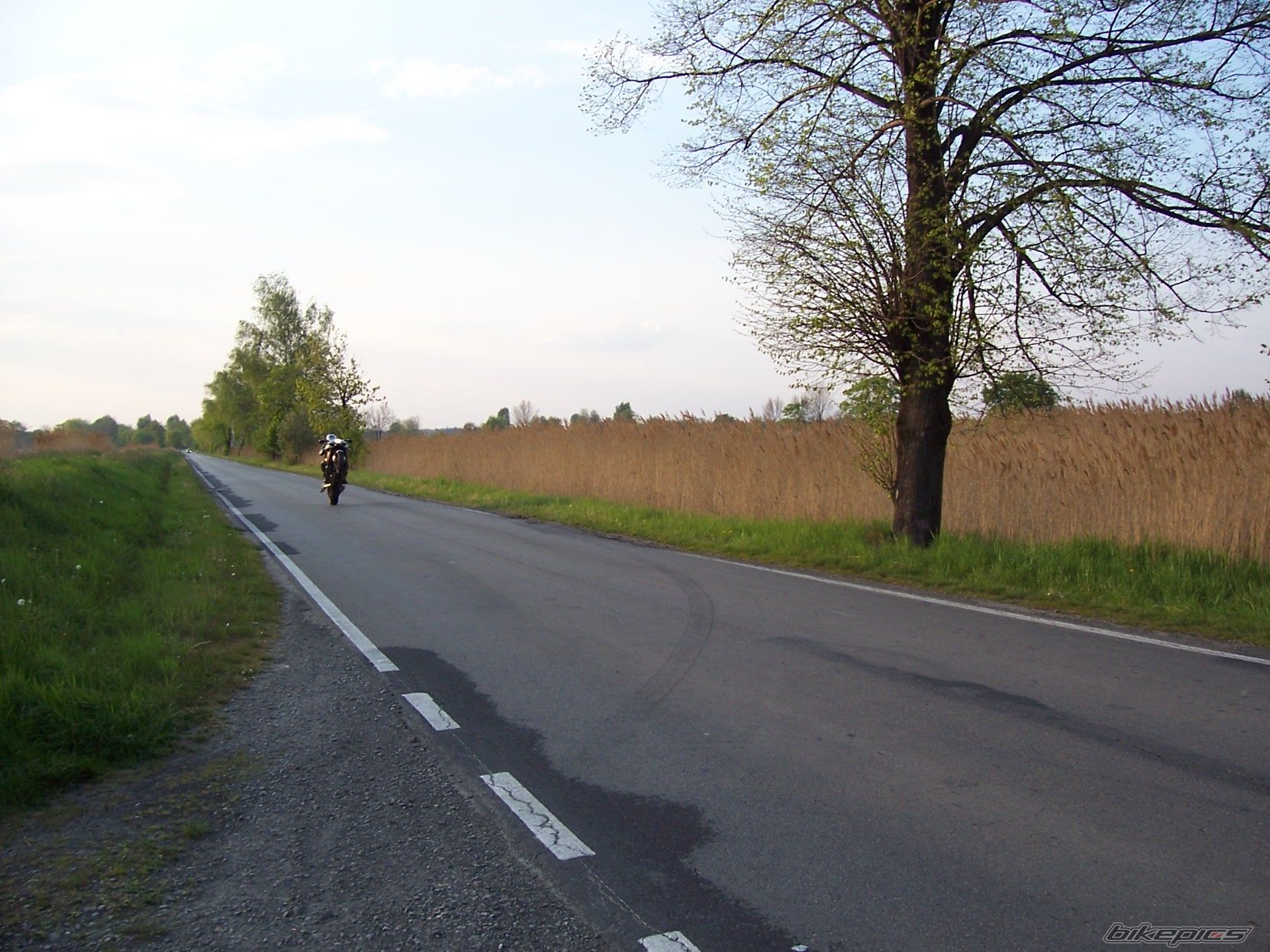Photo 886521