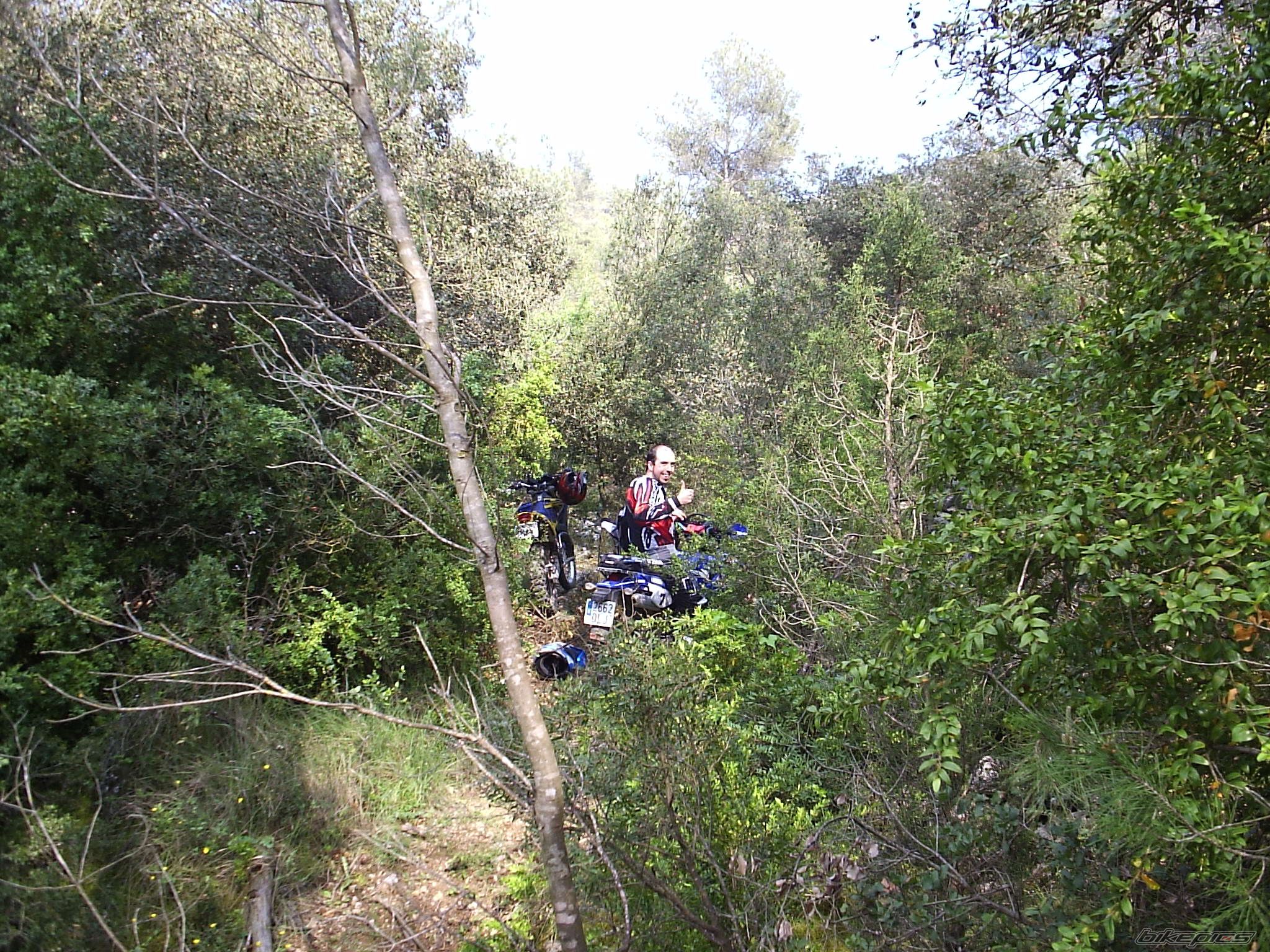Bike Photo 886676