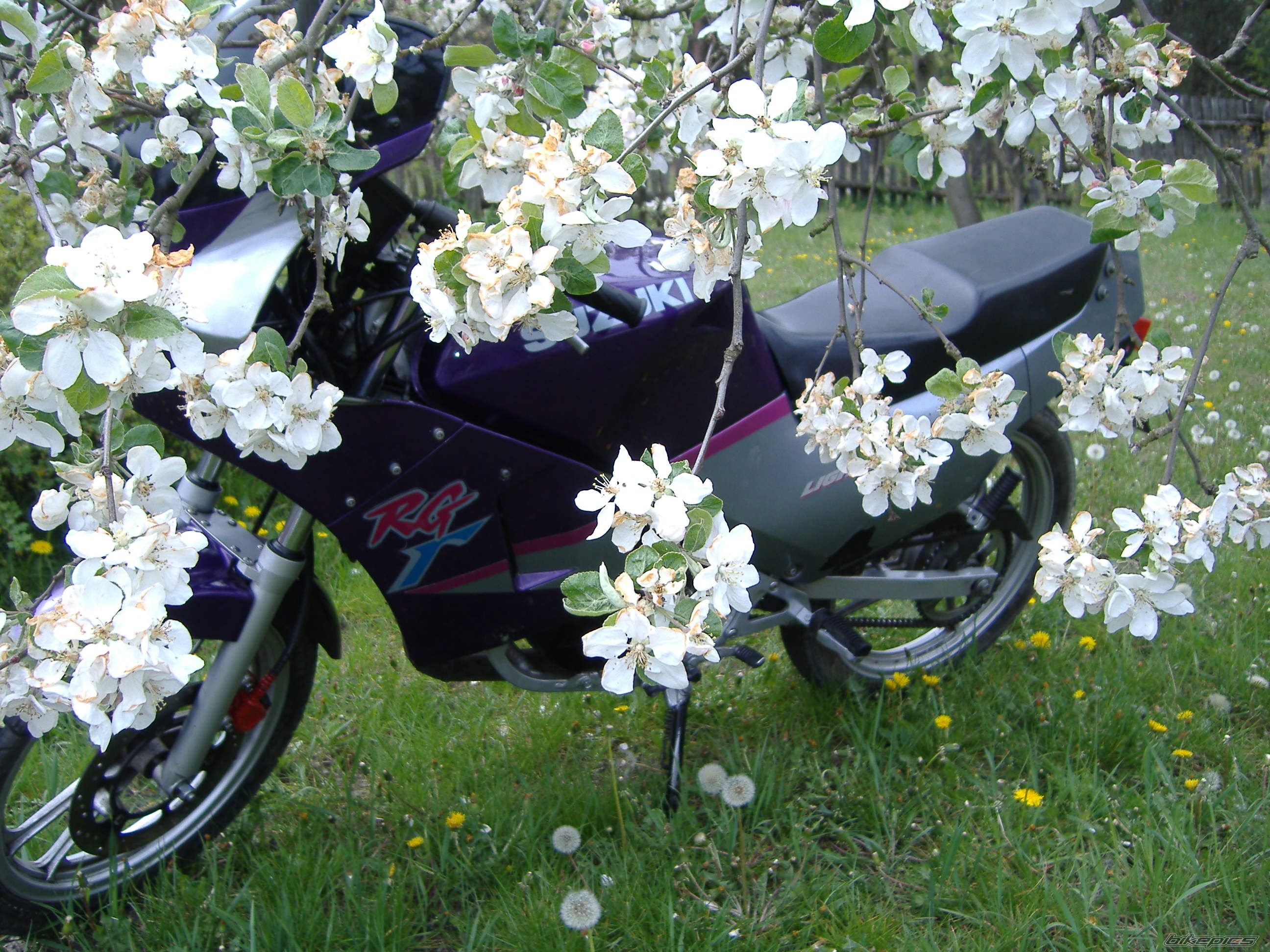Photo 887227