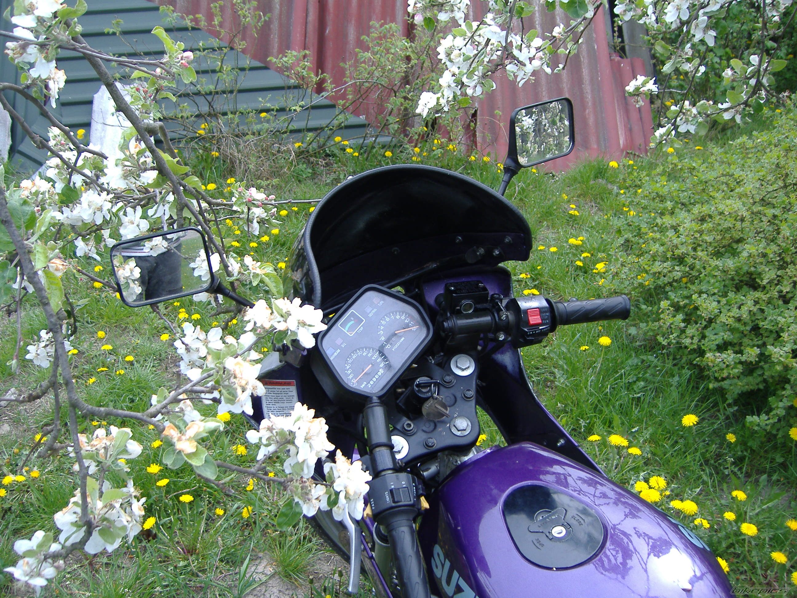 Photo 887229