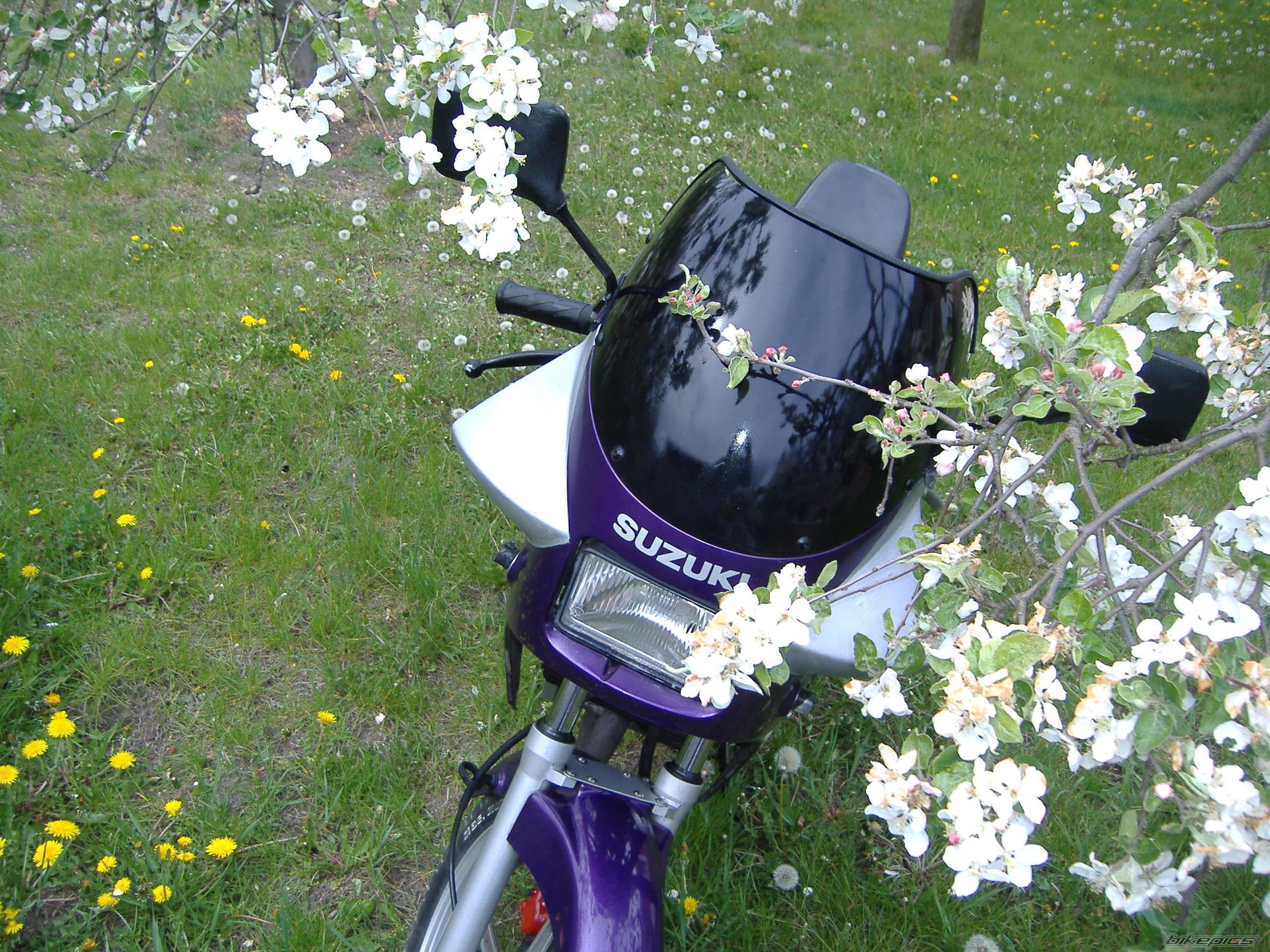 Photo 887231
