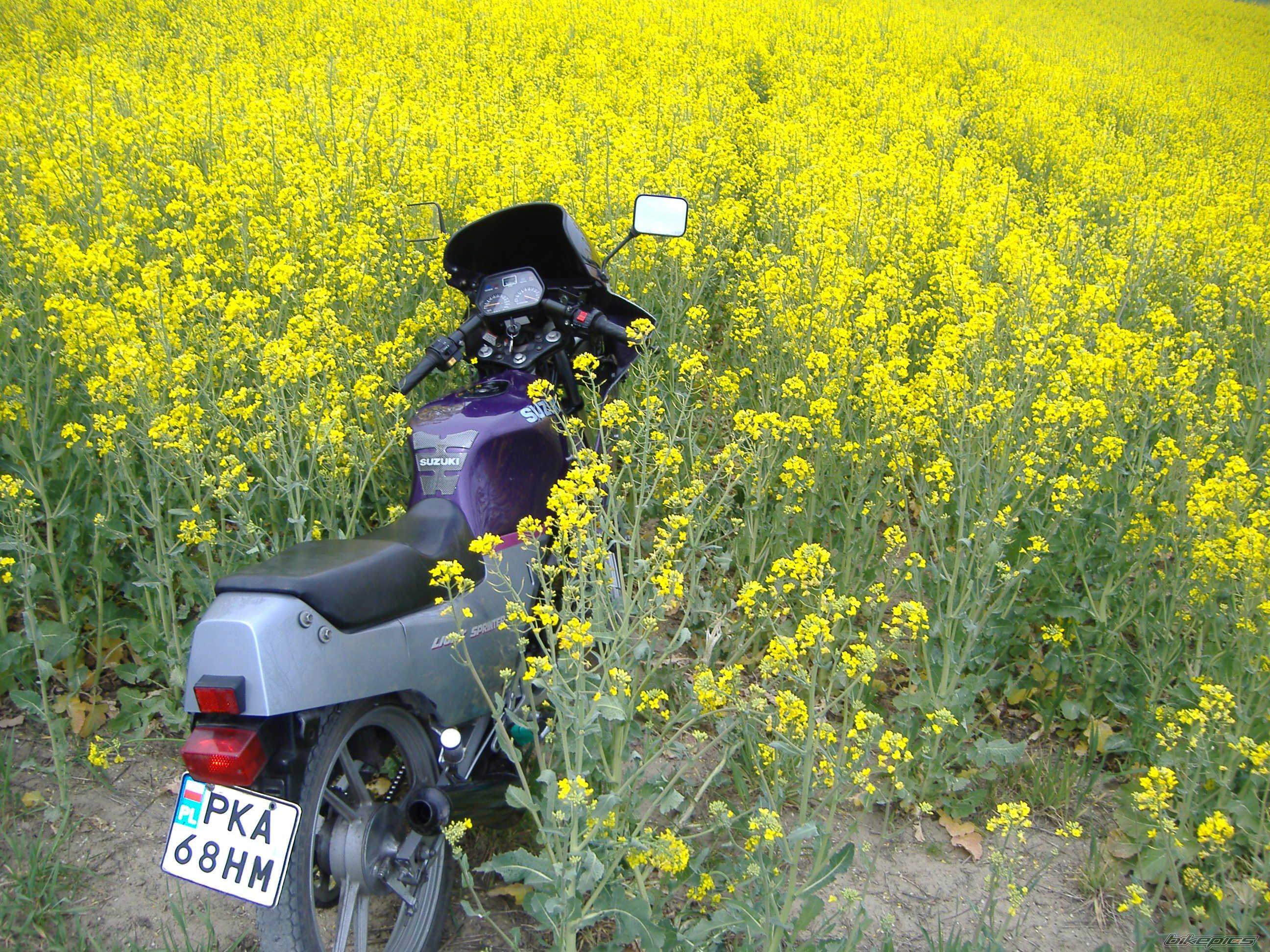 Bike Photo 887260