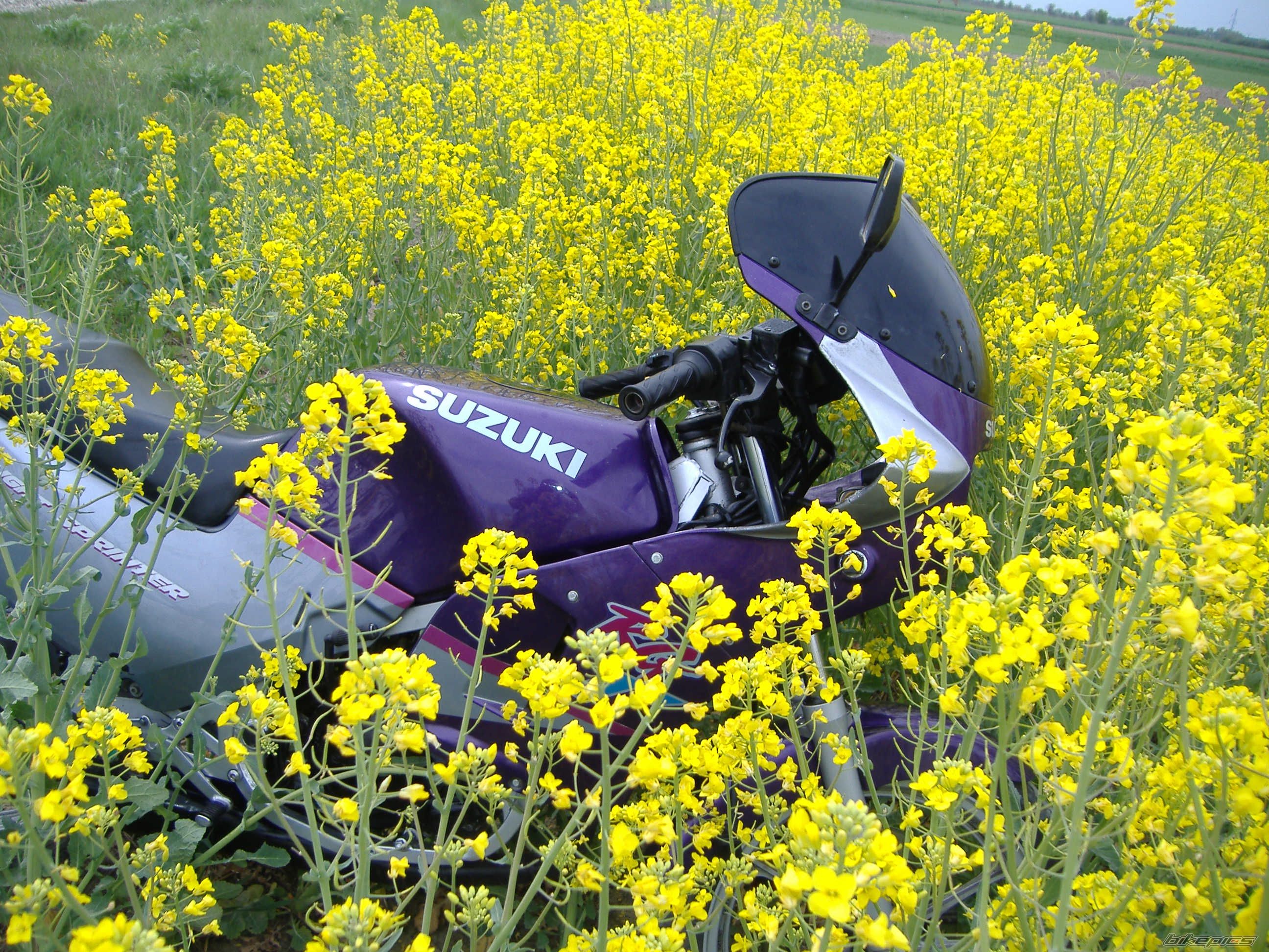 Bike Photo 887269