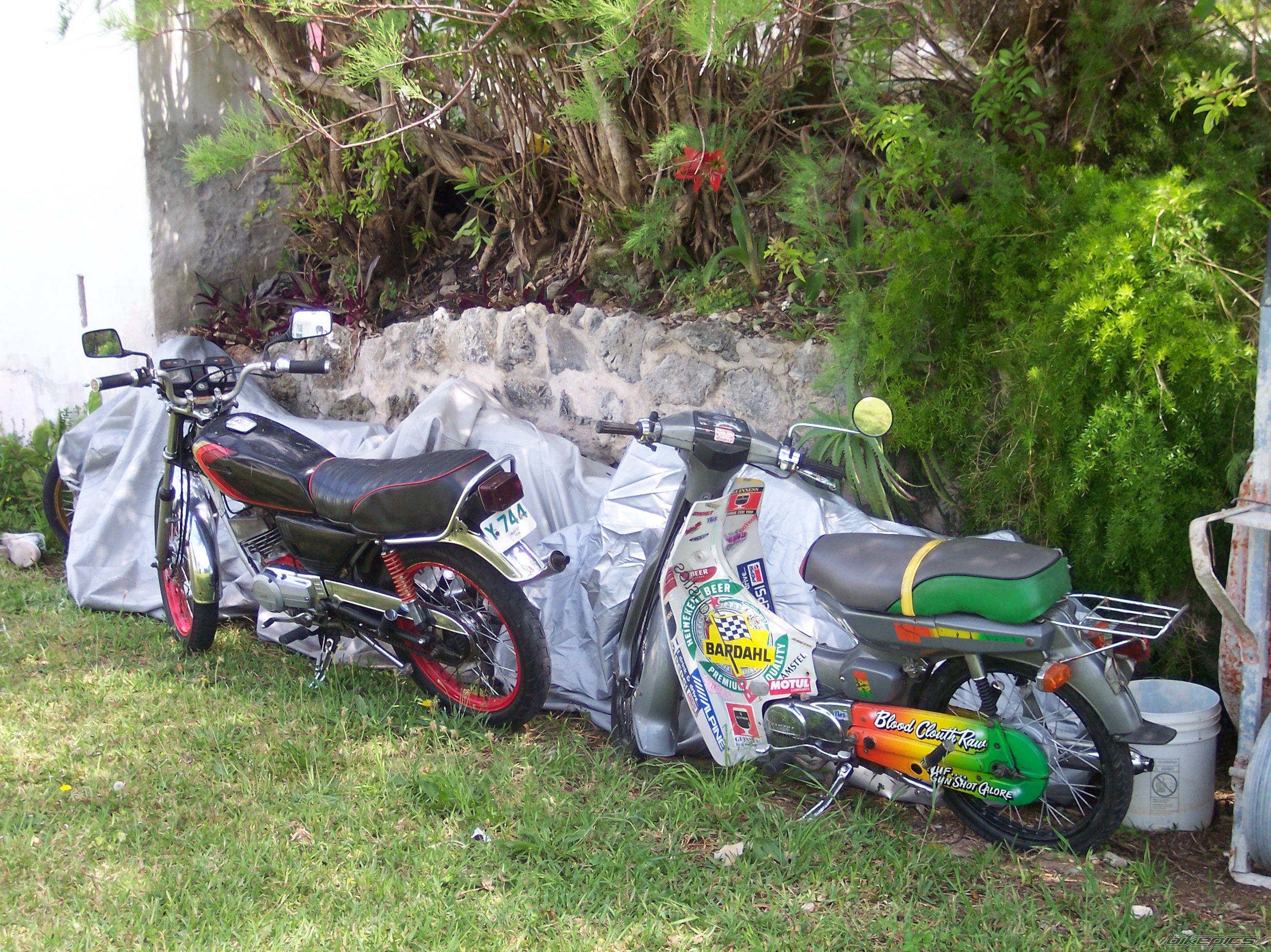 Bike Photo 887465
