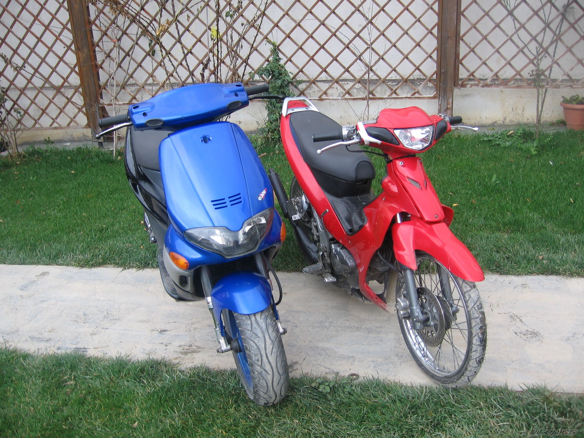Photo 887563
