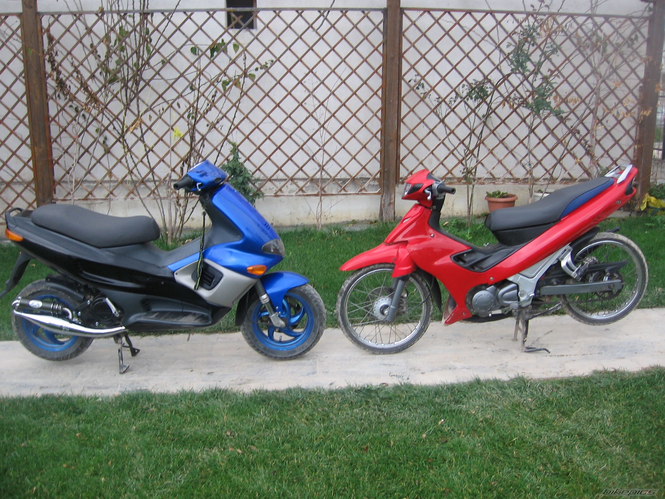 Photo 887572
