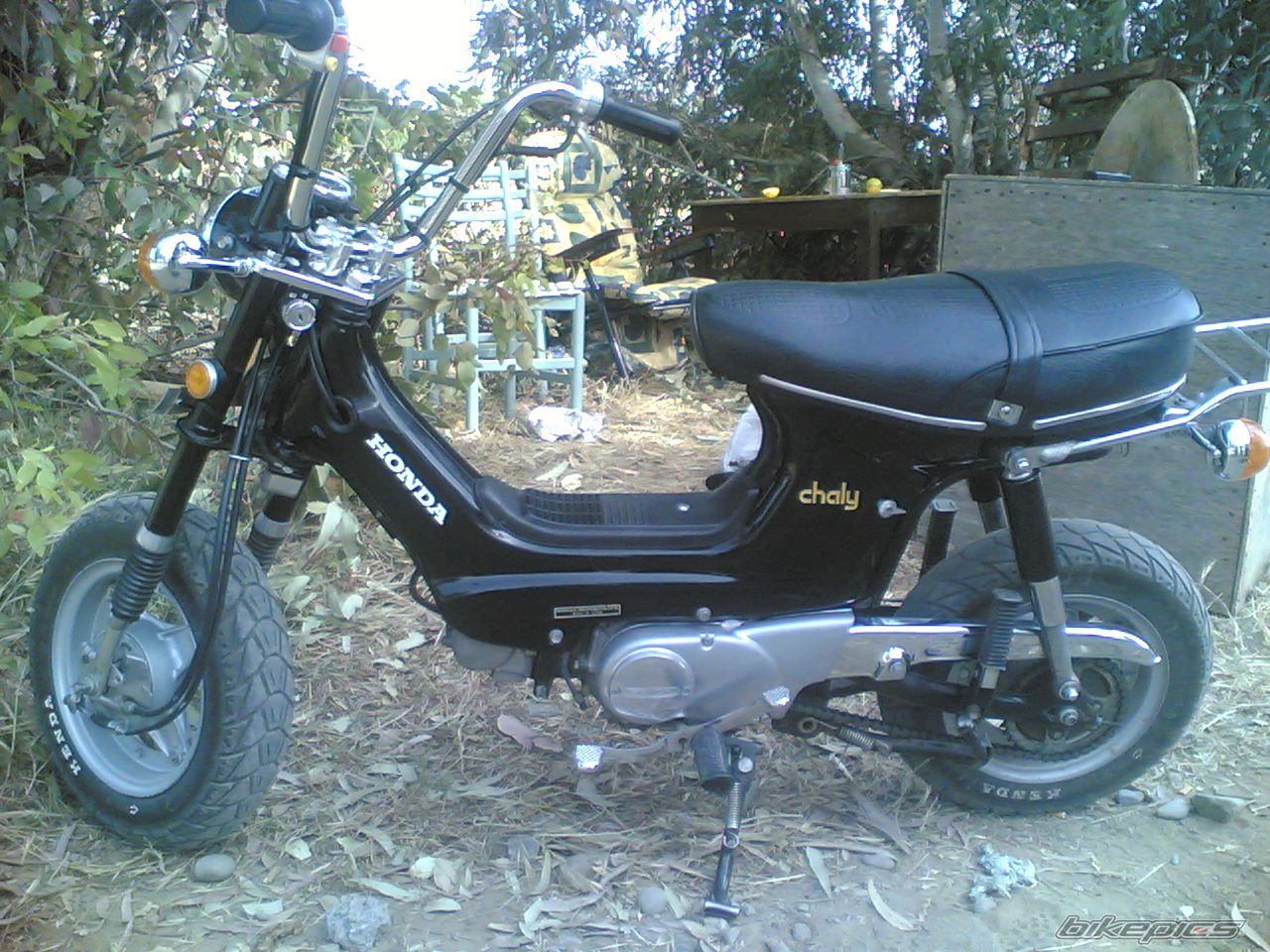 Photo 887642