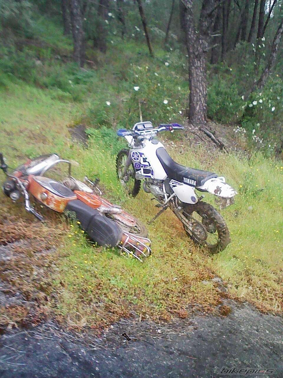 Bike Photo 887665