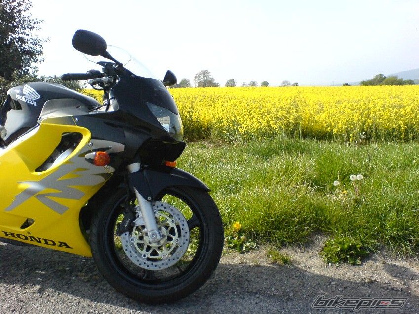 Bike Photo 887724