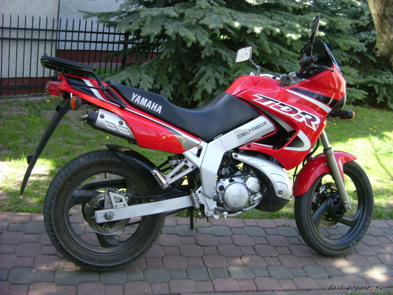 Bike Photo 888081