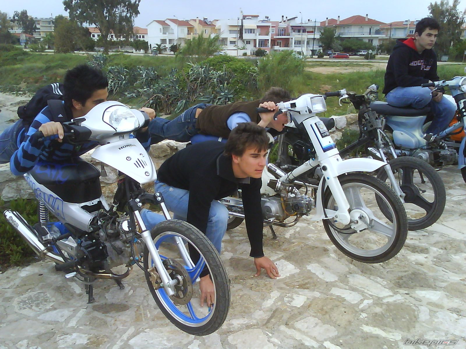 Photo 888229