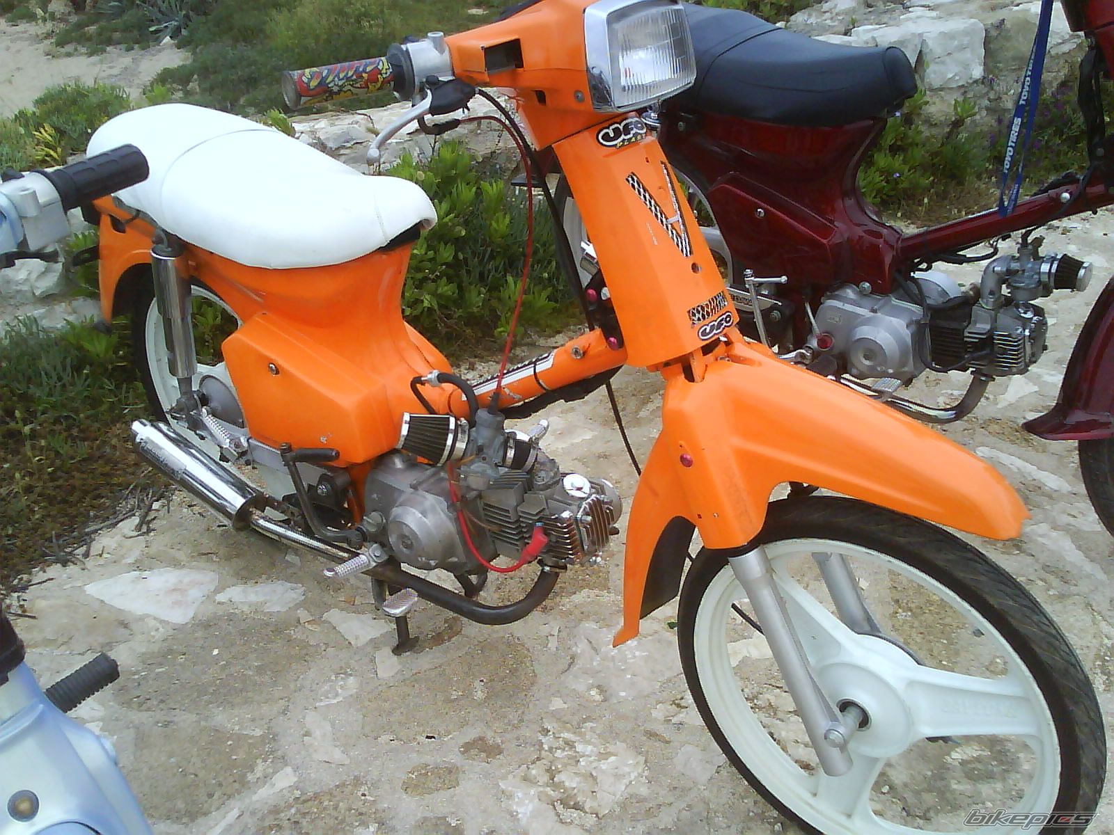 Photo 888232