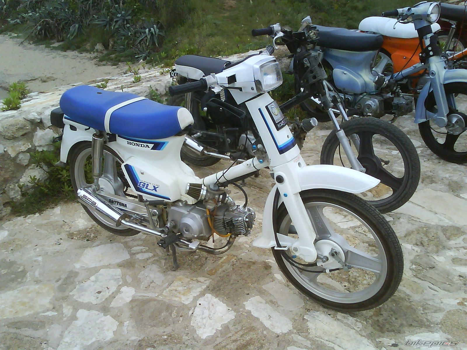 Photo 888234